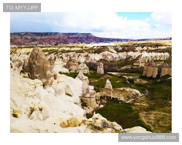 土耳其足球明星的辉煌历程与成就全解析